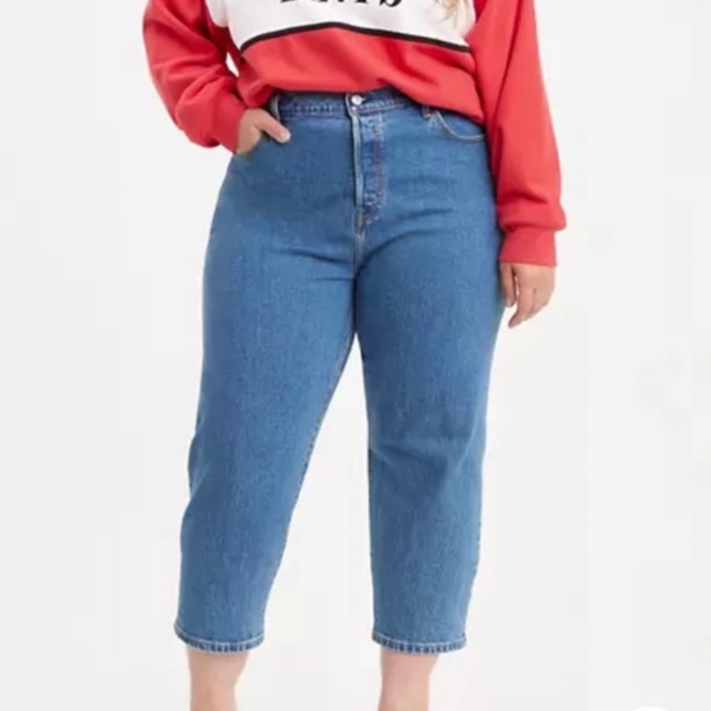 Levi’s 501 Plus Size High Rise Straight Leg Jeans